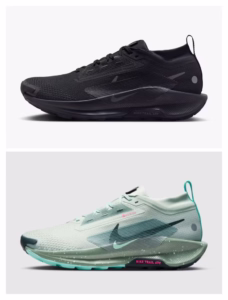 Nike Pegasus Trail 5 GORE-TEX – 2 modelos